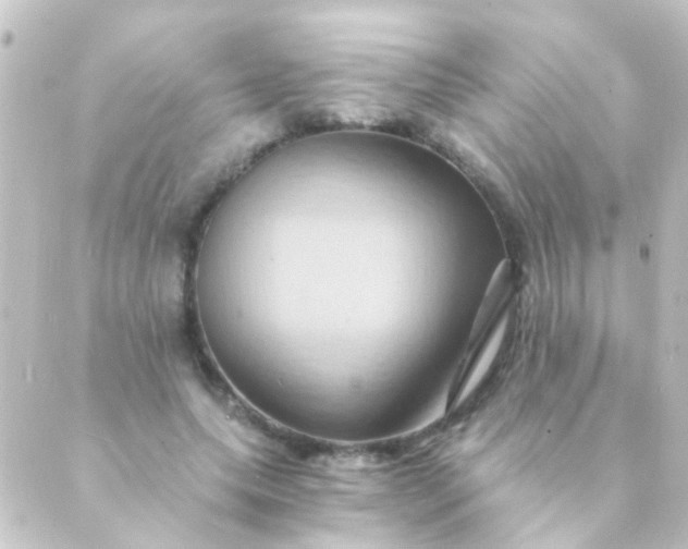 X0000088860639200706221726