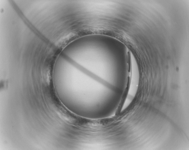 X0000088860644200706221726