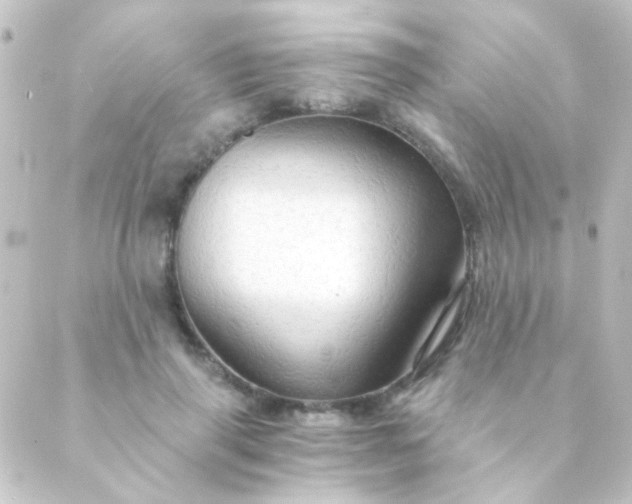 X0000088860645200706221726