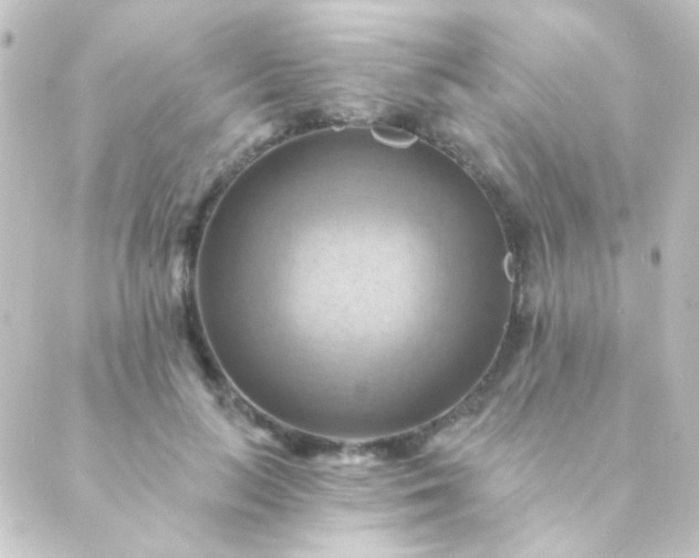 X0000088860647200706221726