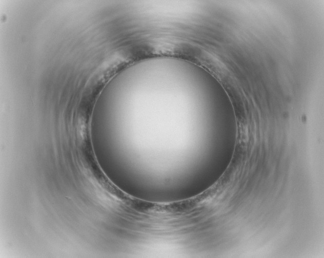 X0000088860648200706221726