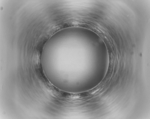 X0000088860651200706221726