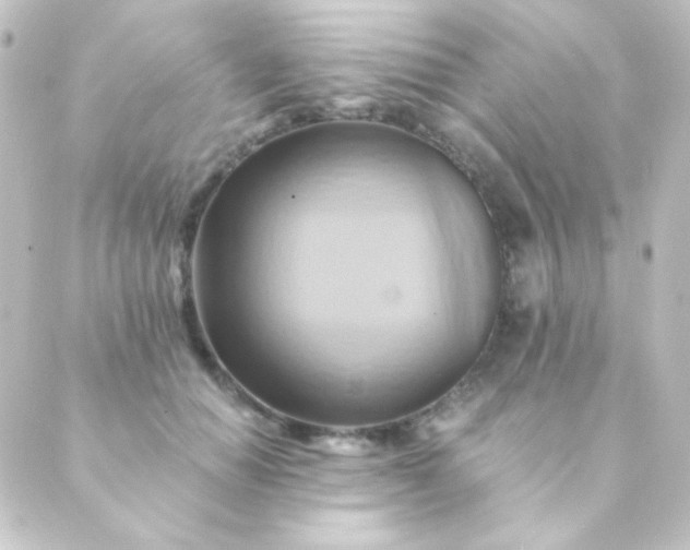 X0000088860654200706221726