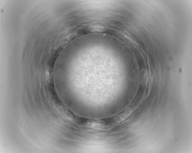 X0000088860655200706221726