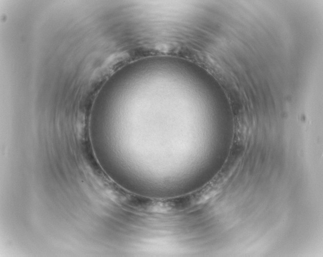 X0000088860656200706221726