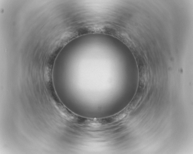 X0000088860658200706221726