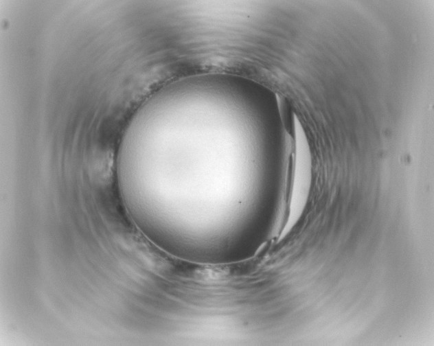 X0000088860660200706221726