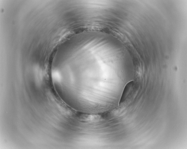 X0000088860663200706221726