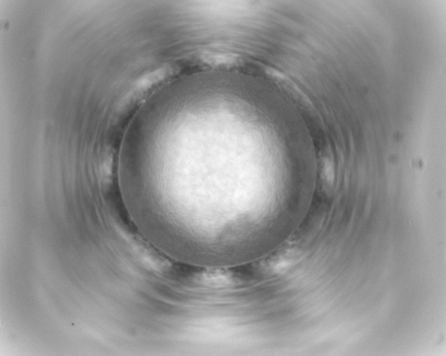 X0000088860668200706221726