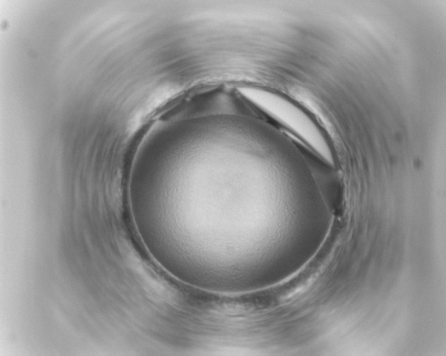 X0000088860677200706221725