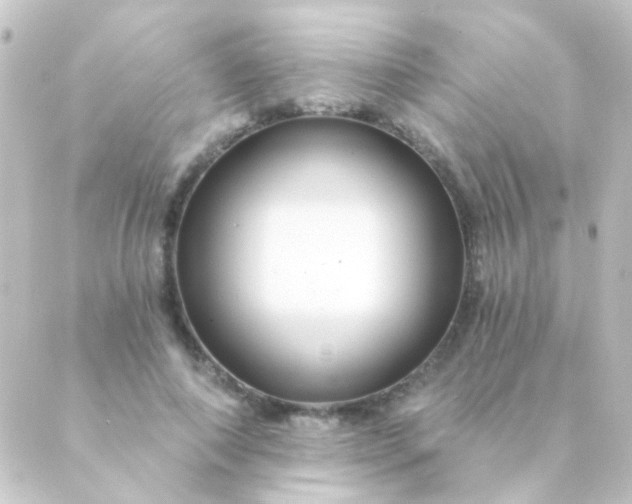 X0000088860690200706221725