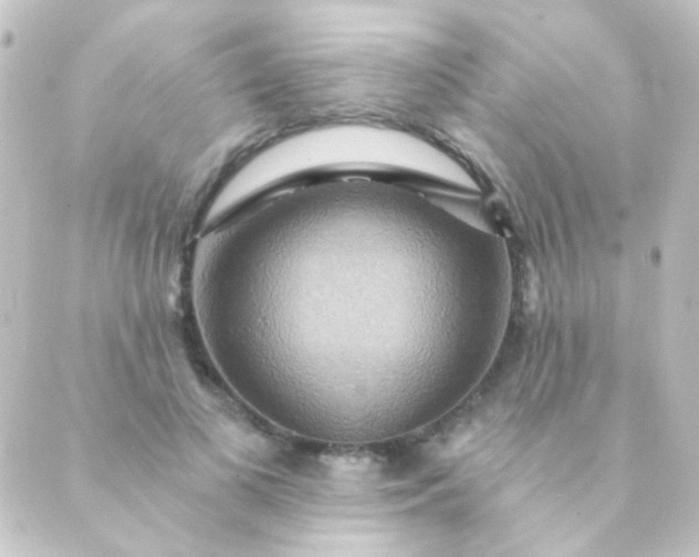 X0000088860693200706221725