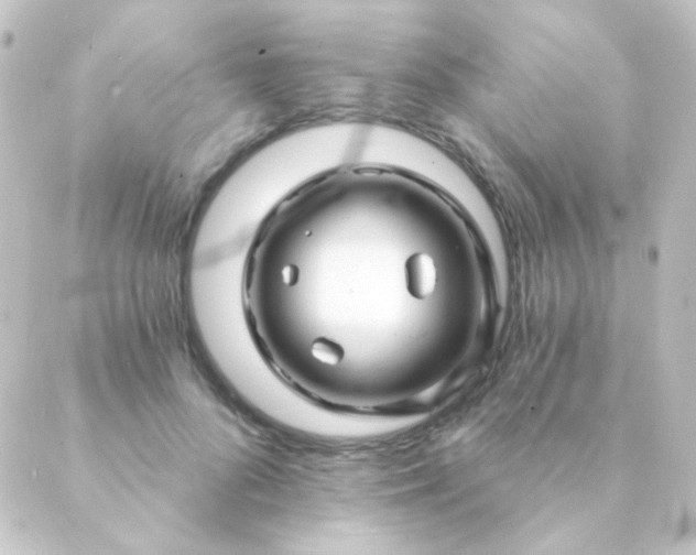 X0000088860696200706221725