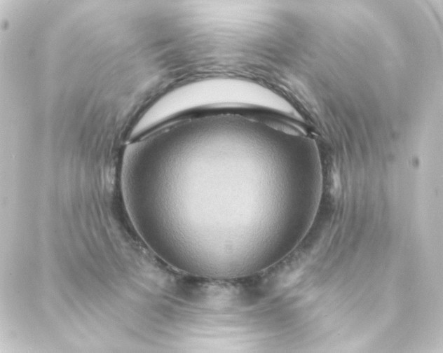 X0000088860697200706221725