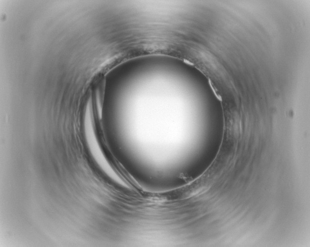 X0000088860700200706221725