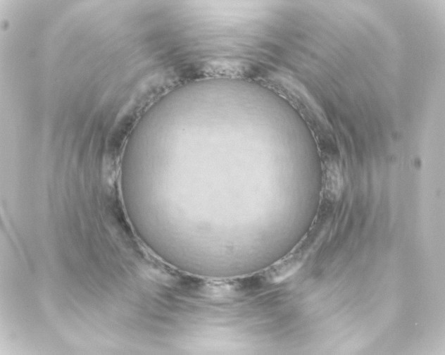 X0000088860701200706221725