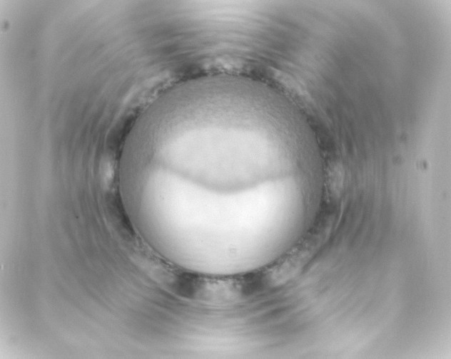 X0000088860709200706221725
