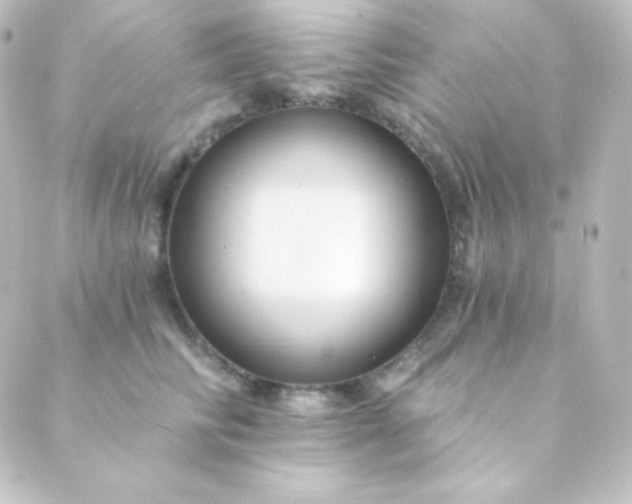 X0000088860710200706221725