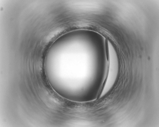 X0000088860732200706221724