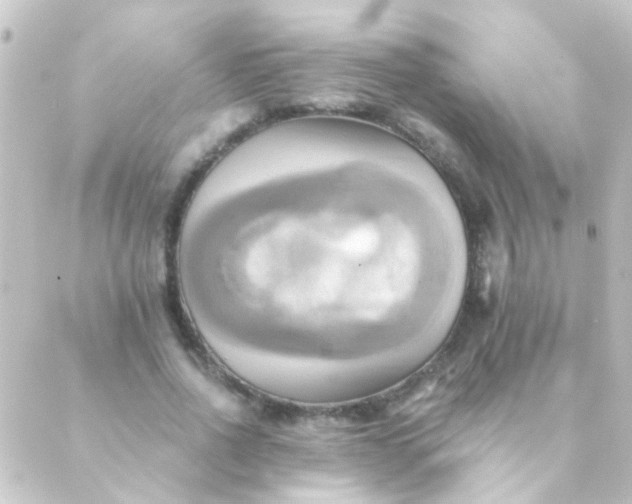 X0000088860734200706221724