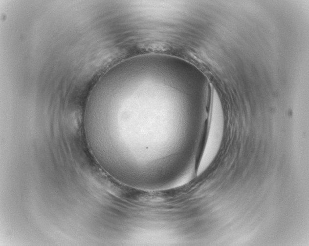 X0000088860747200706221724