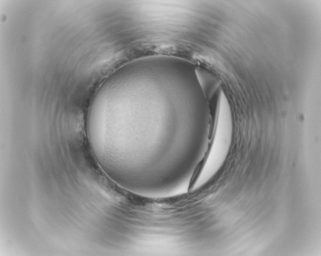 X0000088860748200706221724