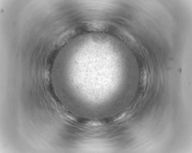 X0000088860749200706221724