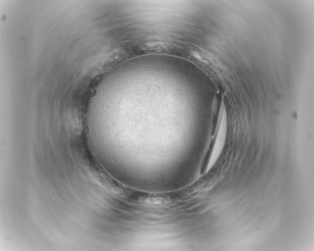 X0000088860751200706221724