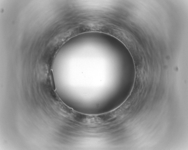 X0000088860752200706221724