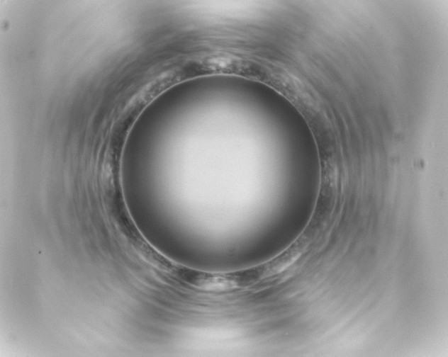 X0000088860754200706221725