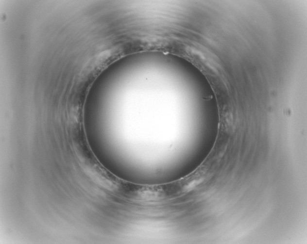 X0000088860756200706221725