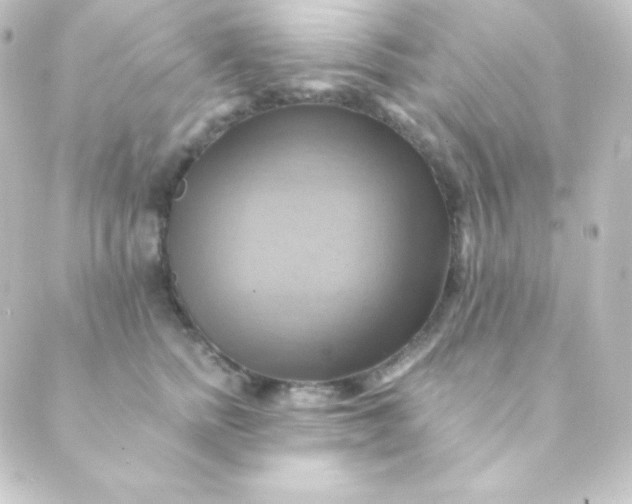 X0000088860758200706221725