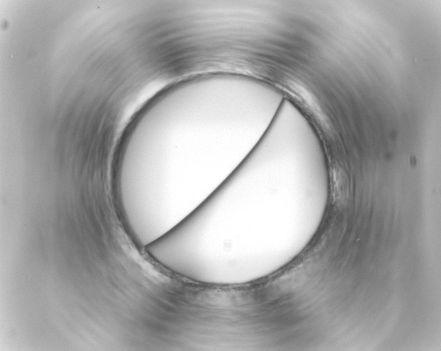X0000088860780200706221724