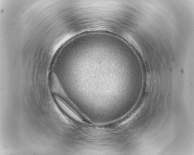 X0000088860789200706221724