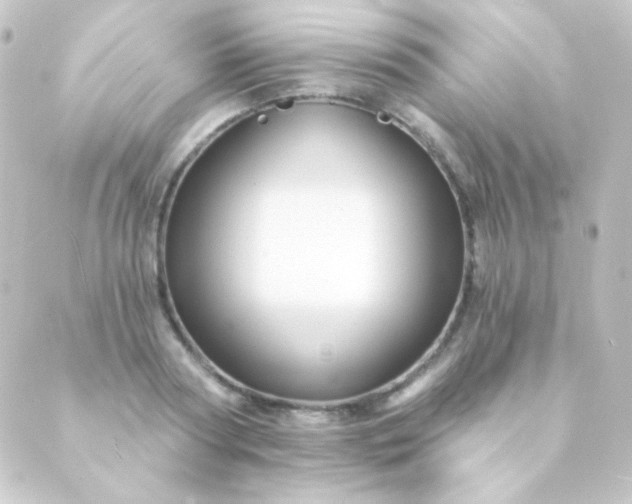 X0000088860794200706221724