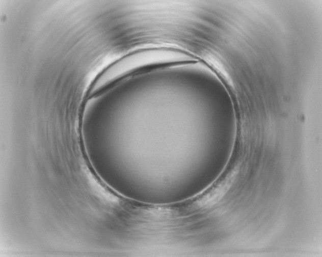 X0000088860797200706221724