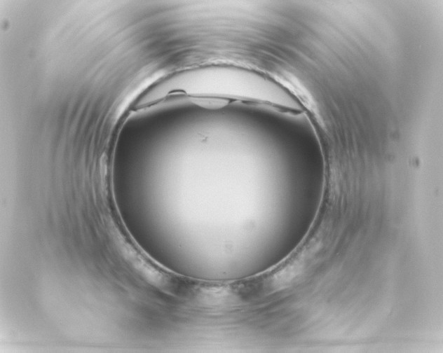 X0000088860798200706221724