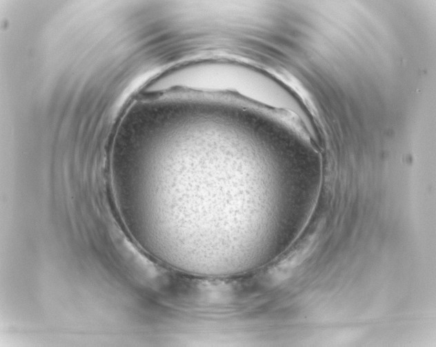 X0000088860799200706221723