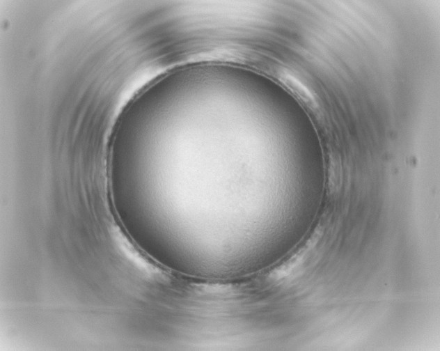 X0000088860800200706221723