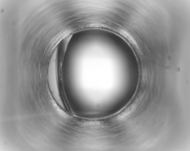 X0000088860801200706221723