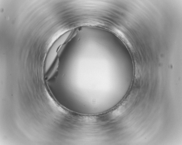 X0000088860802200706221723