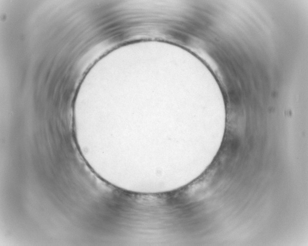 X0000088860807200706221723