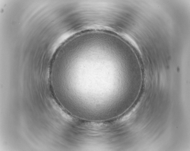 X0000088860831200706221723