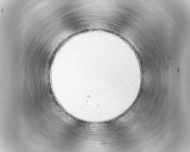 X0000088860832200706221723