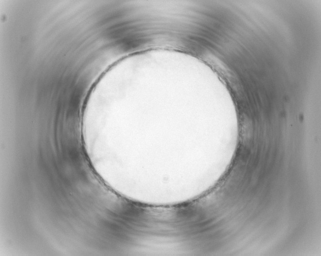 X0000088860836200706221723