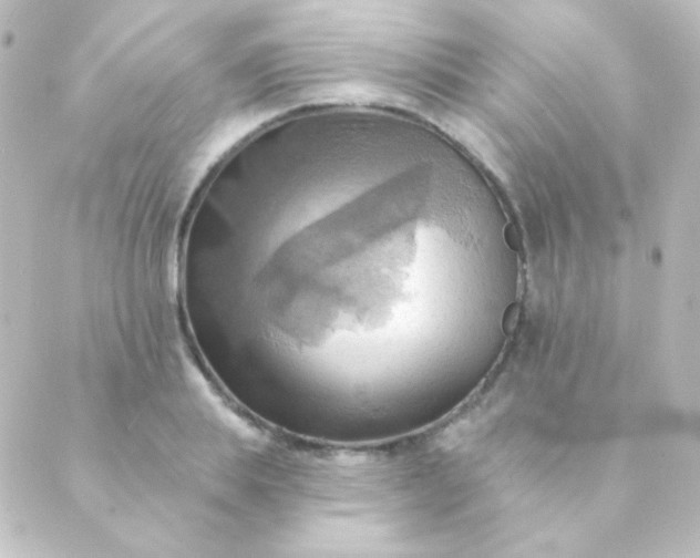 X0000088860839200706221723