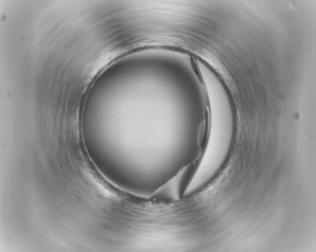 X0000088860842200706221723
