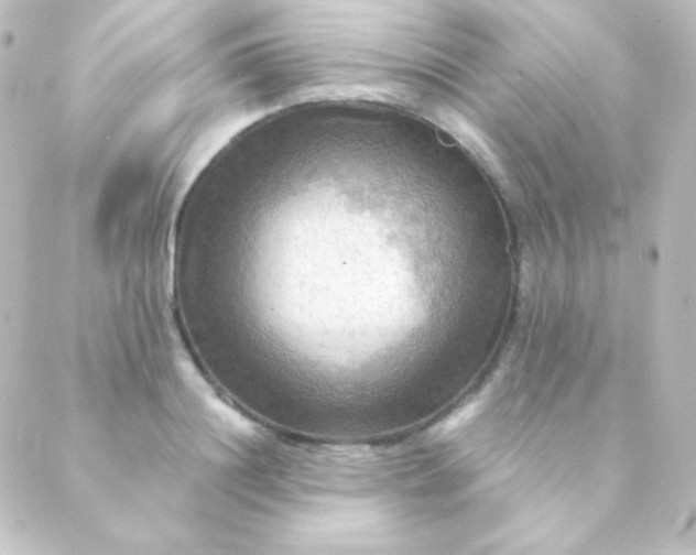 X0000088860844200706221723