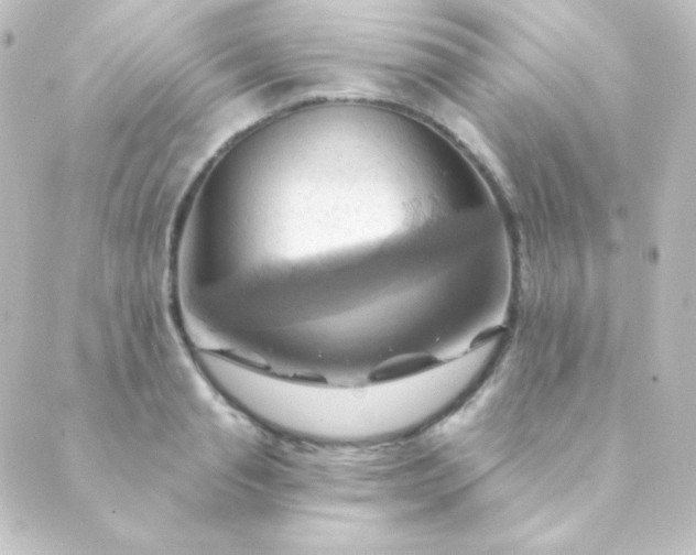 X0000088860845200706221723