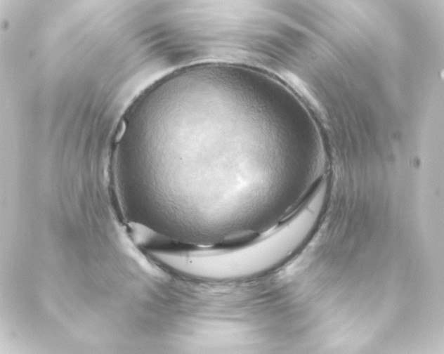 X0000088860846200706221723